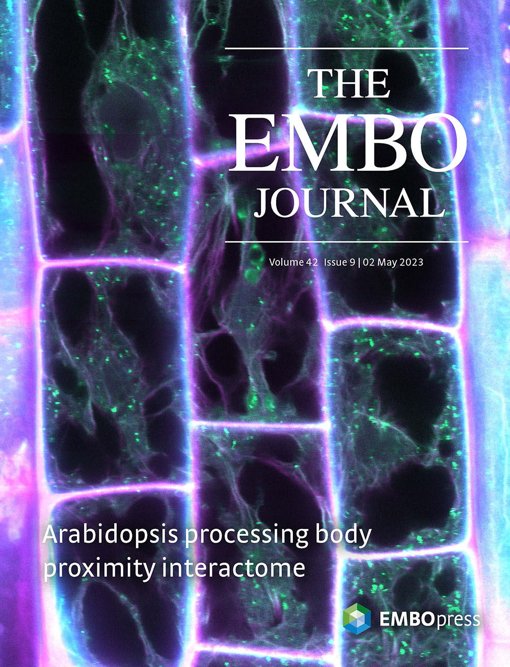 The embo journal